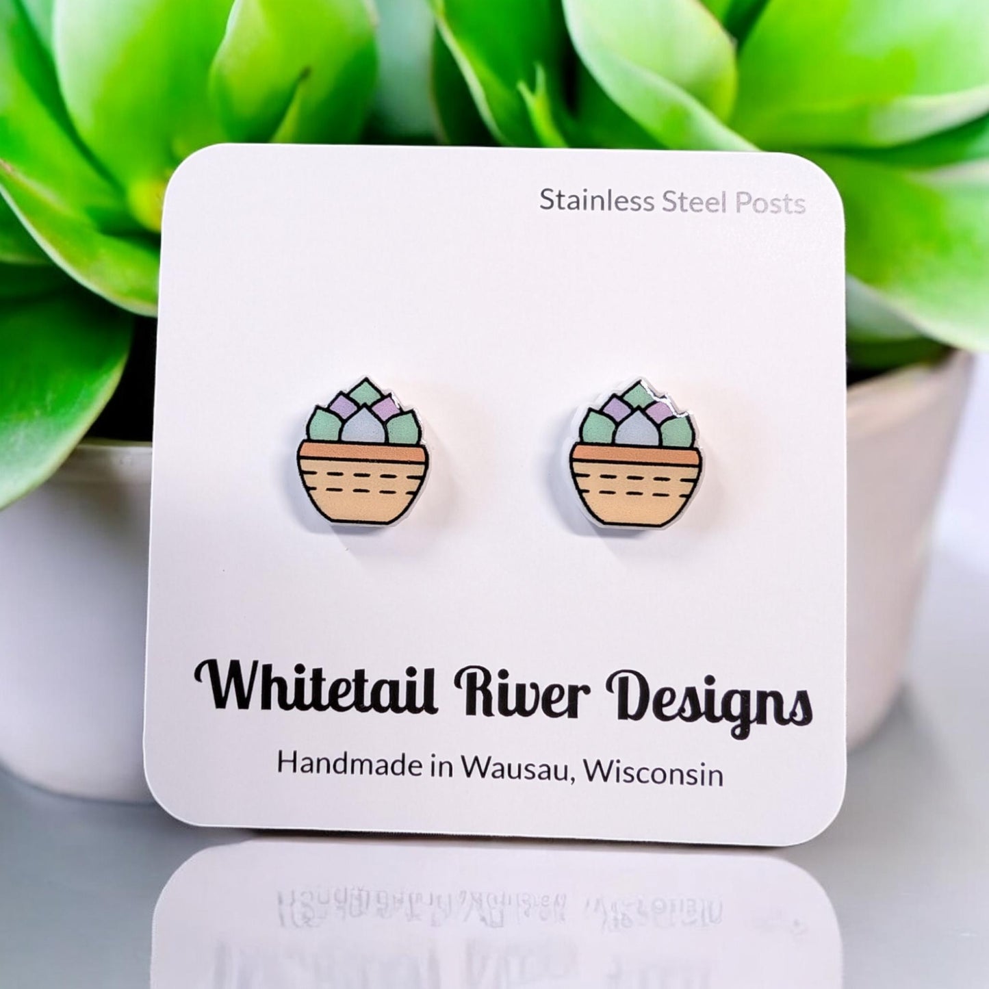 Large Multi Colored Succulent Acrylic Stud Earrings with Stainless Steel Posts